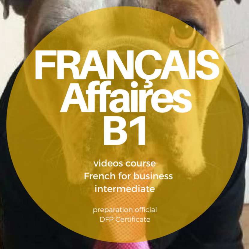 Cours Particulier Français AFFAIRES B1!